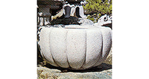 菊型水鉢